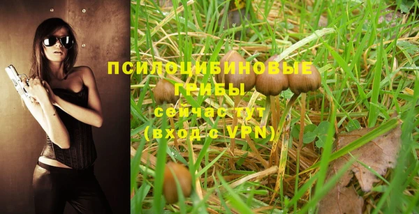 твердый Новозыбков