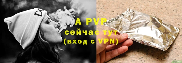 тгк Новодвинск