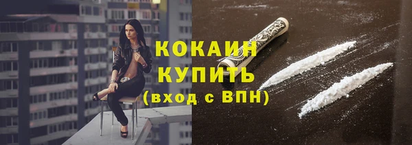 твердый Новозыбков