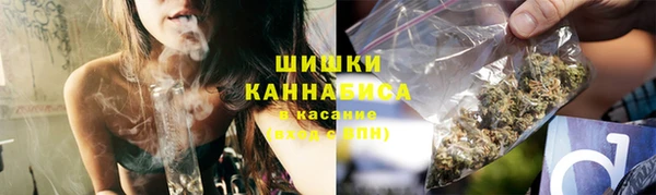 твердый Новозыбков
