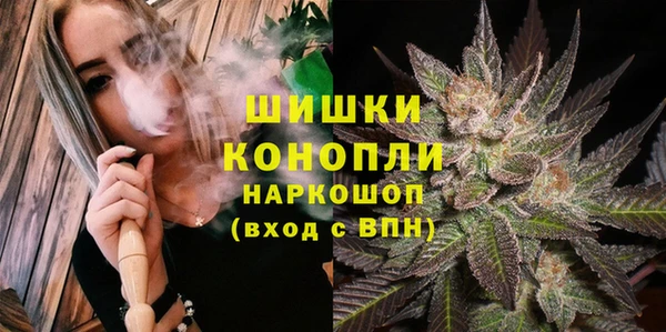 крисы Новокубанск