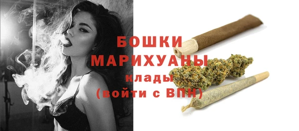твердый Новозыбков