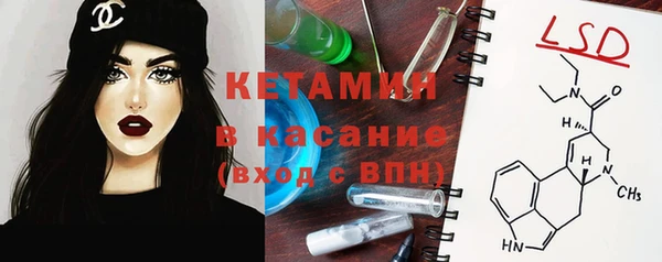 тгк Новодвинск