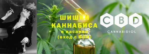 твердый Новозыбков