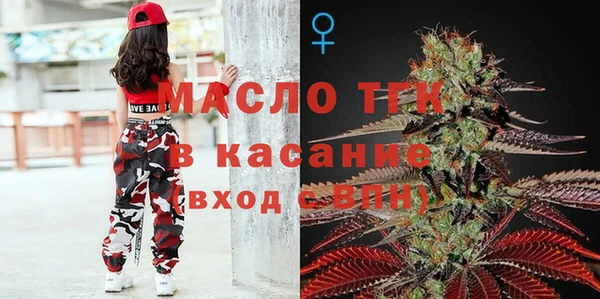 твердый Новозыбков