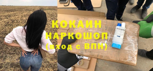 твердый Новозыбков
