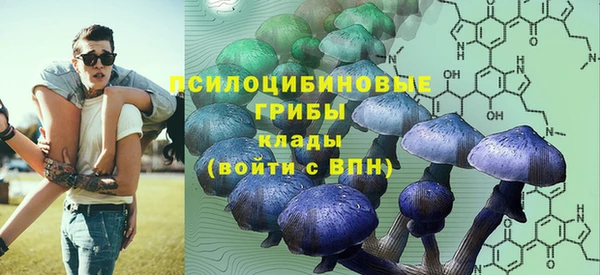 твердый Новозыбков