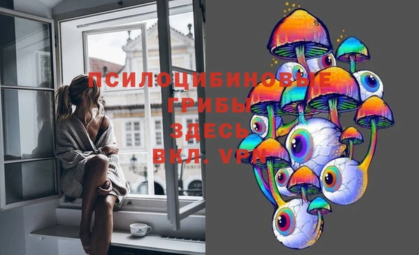 крисы Новокубанск