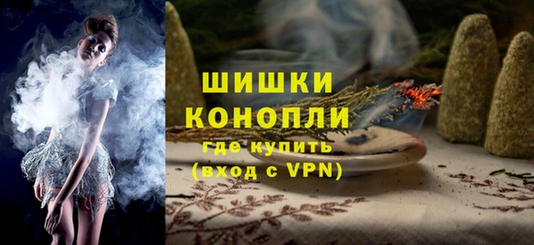 тгк Новодвинск