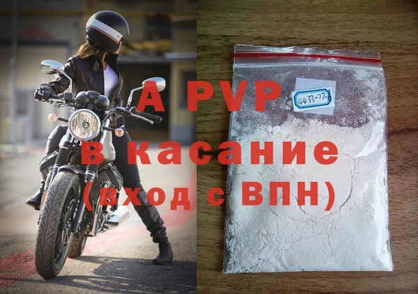 тгк Новодвинск