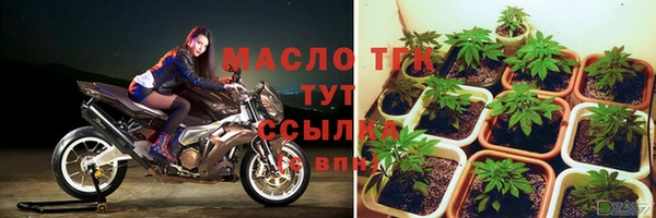 твердый Новозыбков
