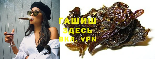 твердый Новозыбков