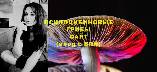 тгк Новодвинск